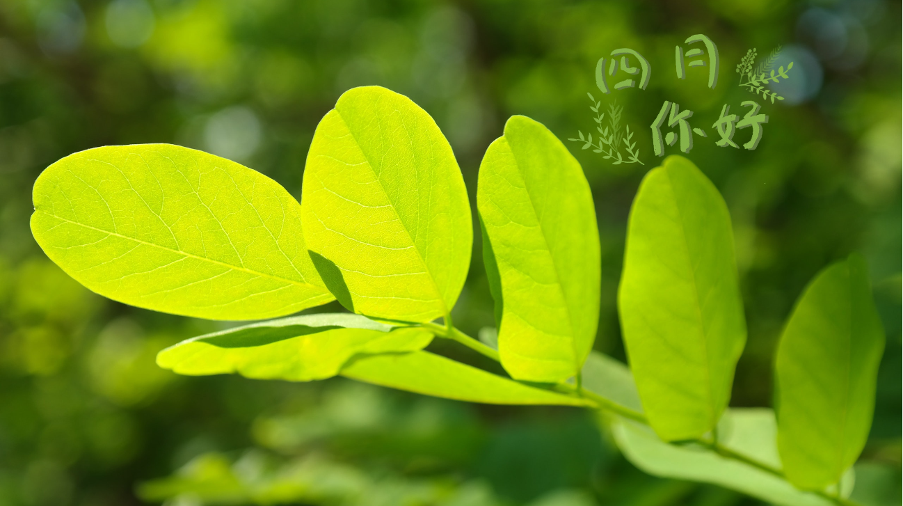 你好！4月